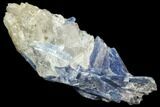 Vibrant Blue Kyanite Crystal - Brazil #80402-1